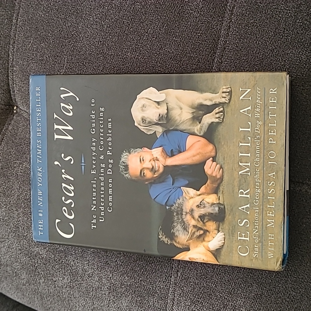 Cesar's Way Book Cesar Millan understanding and correcting common dog problems